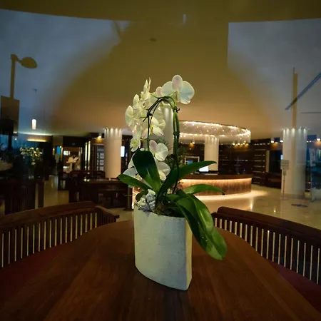 Laguna Palace 4* غرادو